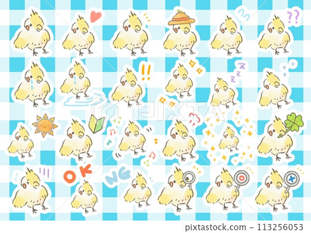 Cute cockatiel illustration set 113256053