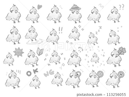 Cute cockatiel illustration set Cute cockatiel illustration set 113256055