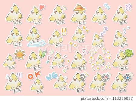 可愛的玄鳳鸚鵡插圖集 可愛的玄鳳鸚鵡插圖集 113256057