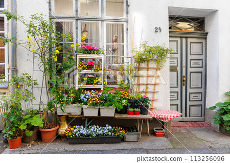 Old medieval german city street with house building facade wall many blooming flowerbeds on porch. Potted blossoming flower plants in small european town road on sunny day 113256096