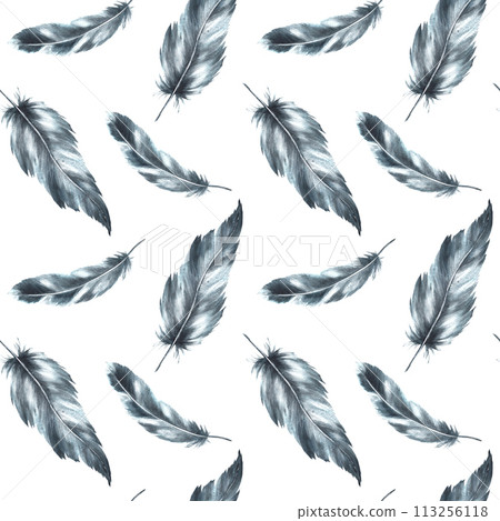 Watercolor seamless pattern with monochrome bird feathers grey black color with granulation of shades, ornaments. Quills wings drawing illustration. Wallpaper wrapping fabric Isolated white background 113256118