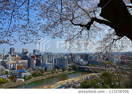 View of the city of trees, Sendai and the Hirose River from Mount Atago 113256306
