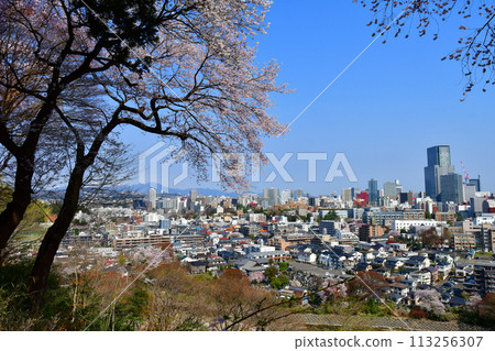View of the cityscape of Sendai and Mt. Izumigatake from Mt. Atago, the capital of forests 113256307