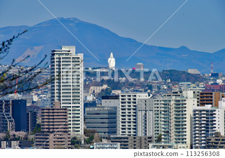 View of the cityscape of Sendai and Mt. Izumigatake from Mt. Atago, the capital of forests 113256308
