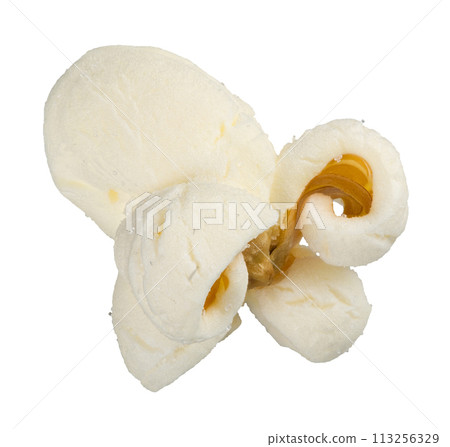 Single popcorn seed, macro shot isolated on white background 113256329