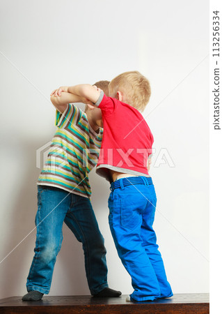 Two little boys siblings playing together on table 113256334