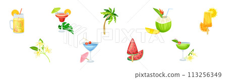 Summer Beach Party Tropical Object and Item Vector Set Summer Beach Party Tropical Object and Item Vector Set 113256349