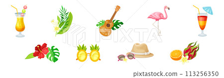 Summer Beach Party Tropical Object and Item Vector Set 113256350