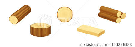 Wooden Material and Object of Sawmill Vector Set 113256388