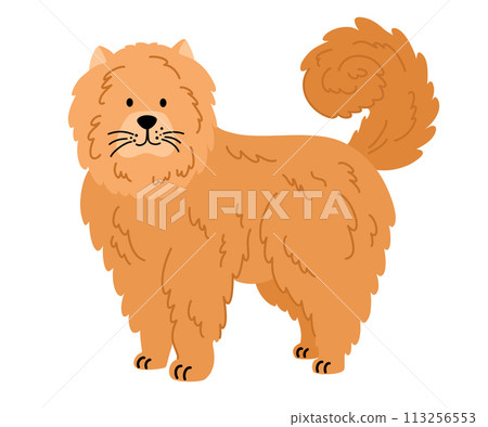 1006_dog 1006_dog 113256553
