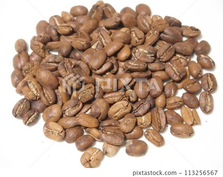 Copillac 113256567