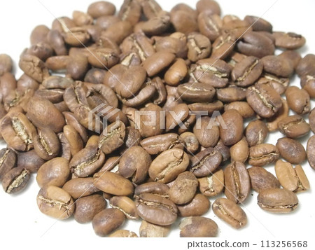 Kopi Ruak 113256568