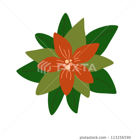 1262_christmas_branch 113256590