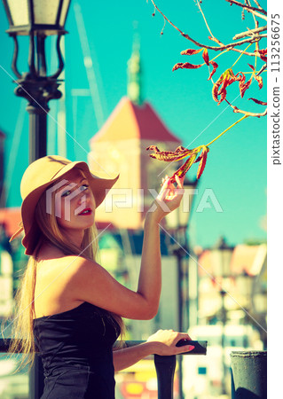 Woman touching dry leaf on tree, outdoor Woman touching dry leaf on tree, outdoor 113256675