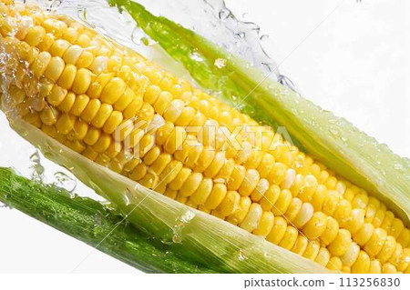 corn and water splash corn and water splash 113256830