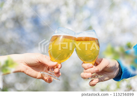 Glasses of beer clink against the backdrop of a cherry orchard. Glasses of beer clink against the backdrop of a cherry orchard. 113256899