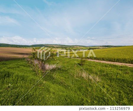 Spring countryside view with dirty road, rapeseed yellow blooming fields, village, hills. Ukraine, Lviv Region. 113256979