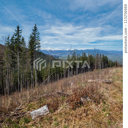 Spring Carpathian mountains view, Ukraine. Spring Carpathian mountains view, Ukraine. 113256989
