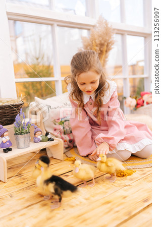 Vertical portrait of cute little girl in dress playing with little yellow ducklings siting on floor of summer gazebo house on sunny day. Concept of excursion to eco-farm, life in village 113256997