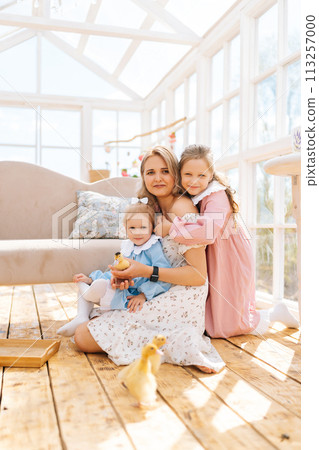 Vertical portrait of happy young mom and two cheerful daughters in dress playing with little yellow ducklings in summer gazebo house on sunny day. Concept of excursion to eco-farm, life in village. Vertical portrait of happy young mom and two cheerful daughters in dress playing with little yellow ducklings in summer gazebo house on sunny day. Concept of excursion to eco-farm, life in village. 113257000