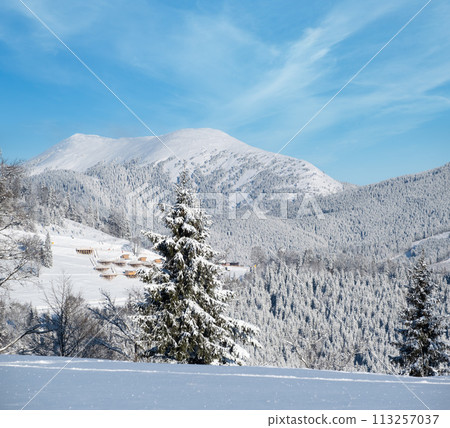 Winter Gorgany massiv mountains scenery view from Yablunytsia pass, Carpathians, Ukraine. 113257037