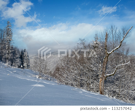 Winter massiv mountains scenery view from Yablunytsia pass, Carpathians, Ukraine. 113257042