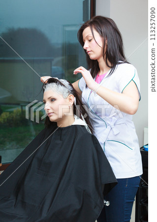 Woman getting hair colored in beauty salon Woman getting hair colored in beauty salon 113257090