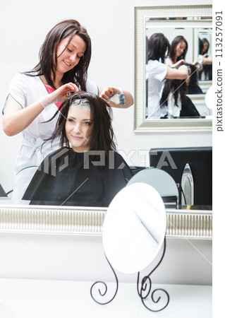 Woman getting hair colored in beauty salon Woman getting hair colored in beauty salon 113257091
