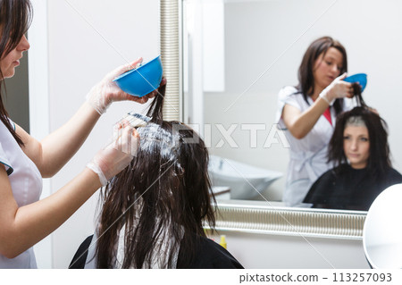 Woman getting hair colored in beauty salon Woman getting hair colored in beauty salon 113257093