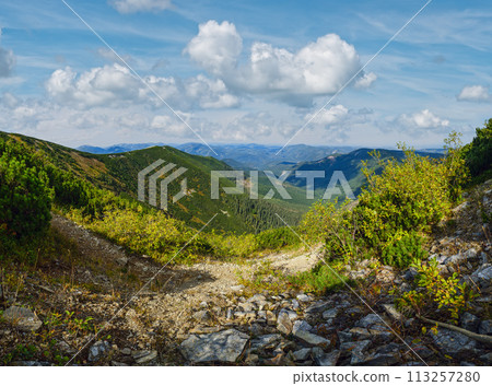Summer Carpathian mountains view. Stony Gorgany massif, Ukraine. 113257280