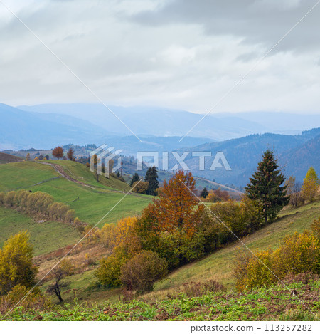Cloudy and foggy day autumn mountains scene. Peaceful picturesque traveling, seasonal, nature and countryside beauty concept scene. Carpathian Mountains, Ukraine. 113257282