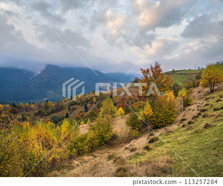 Cloudy and foggy day autumn mountains scene. Peaceful picturesque traveling, seasonal, nature and countryside beauty concept scene. Carpathian Mountains, Ukraine. Cloudy and foggy day autumn mountains scene. Peaceful picturesque traveling, seasonal, nature and countryside beauty concept scene. Carpathian Mountains, Ukraine. 113257284