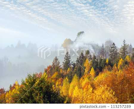 Morning foggy clouds in autumn mountain countryside. Ukraine, Carpathian Mountains, Transcarpathia. Morning foggy clouds in autumn mountain countryside. Ukraine, Carpathian Mountains, Transcarpathia. 113257289
