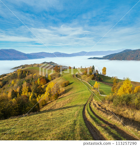 Morning foggy clouds in autumn mountain countryside. Ukraine, Carpathian Mountains, Transcarpathia. Peaceful picturesque traveling, seasonal, nature and countryside beauty concept scene. Morning foggy clouds in autumn mountain countryside. Ukraine, Carpathian Mountains, Transcarpathia. Peaceful picturesque traveling, seasonal, nature and countryside beauty concept scene. 113257290