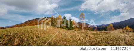 Autumn morning Carpathian Mountains calm picturesque scene, Ukraine. Peaceful traveling, seasonal, nature and countryside beauty concept scene. 113257294