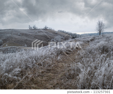 Winter coming. Cloudy and foggy morning very late autumn mountains scene. Peaceful picturesque traveling, seasonal, nature and countryside beauty concept scene. Carpathian Mountains, Ukraine. Winter coming. Cloudy and foggy morning very late autumn mountains scene. Peaceful picturesque traveling, seasonal, nature and countryside beauty concept scene. Carpathian Mountains, Ukraine. 113257301