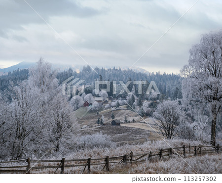 Winter coming. Picturesque foggy and moody morning scene in late autumn mountain countryside with hoarfrost on grasses, trees, slopes. Ukraine, Carpathian Mountains. Winter coming. Picturesque foggy and moody morning scene in late autumn mountain countryside with hoarfrost on grasses, trees, slopes. Ukraine, Carpathian Mountains. 113257302