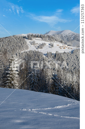 Winter Gorgany massiv mountains scenery view from Yablunytsia pass, Carpathians, Ukraine. 113257363