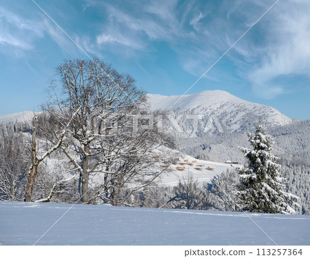 Winter Gorgany massiv mountains scenery view from Yablunytsia pass, Carpathians, Ukraine. 113257364