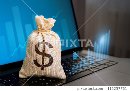 Dollar money bag and laptop with growth charts. Make money. Economics of Innovation and High Technologies, IT. Investments and trading on the stock exchange. Market trends. 113257761