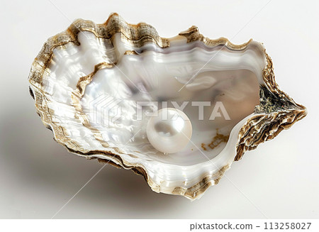 Pearl Inside an Oyster Shell on White Background Pearl Inside an Oyster Shell on White Background 113258027