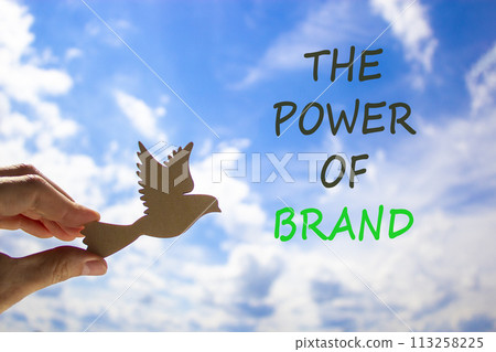 The power of brand symbol. Concept words The power of brand. Beautiful blue sky cloud background. Voter hand with wooden bird. Business the power of brand concept. Copy space. 113258225