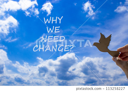 Why we need change symbol. Concept words Why we need change. Beautiful blue sky cloud background. Voter hand with wooden bird. Business and why we need change concept. Copy space. 113258227