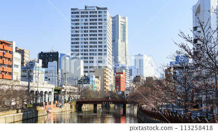 大岡川櫻花盛開的景色 113258418
