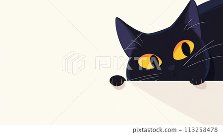 Black cat  113258478