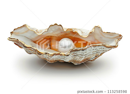Elegant Pearl in Oyster Shell Elegant Pearl in Oyster Shell 113258598