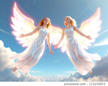 Two shining angels 113258853