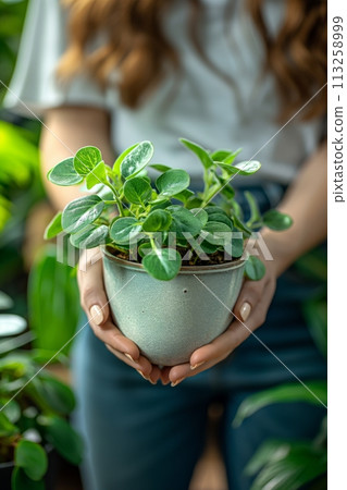 Close up view of womans hands hold a green ceramic pot with plant while gardening 113258999