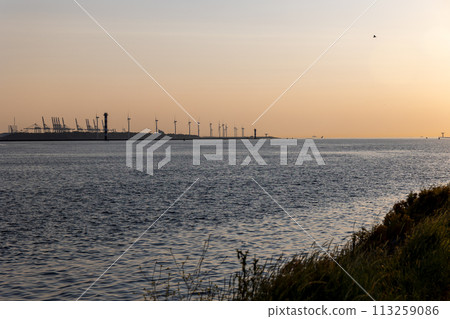 Beautiful windmills in the port of Rotterdam. Beautiful sunset on the sea coast. The Blue North Sea and Water surface. The lighthouse and shore are lit by the sunset sun. Beautiful windmills in the port of Rotterdam. Beautiful sunset on the sea coast. The Blue North Sea and Water surface. The lighthouse and shore are lit by the sunset sun. 113259086