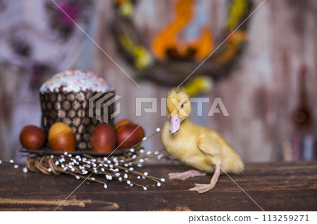 Easter decorated interior with colorfull eggs and ducklings Easter decorated interior with colorfull eggs and ducklings 113259271